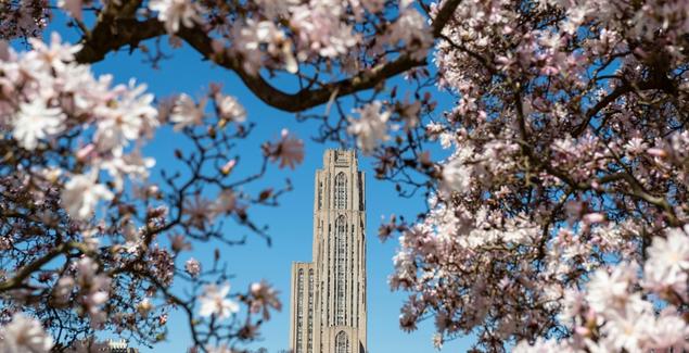 cathedral of learning surrounded by spring blooms
