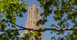The Cathedral of Learning with a branch and leaves.