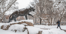 Panther statue covered in snow. 
